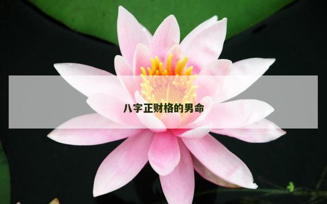八字正财格的男命
