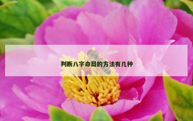 判断八字命局的方法有几种