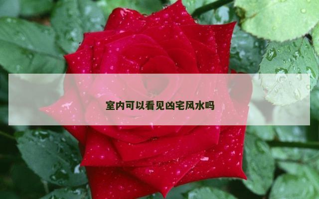 室内可以看见凶宅风水吗