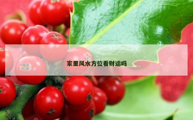 家里风水方位看财运吗