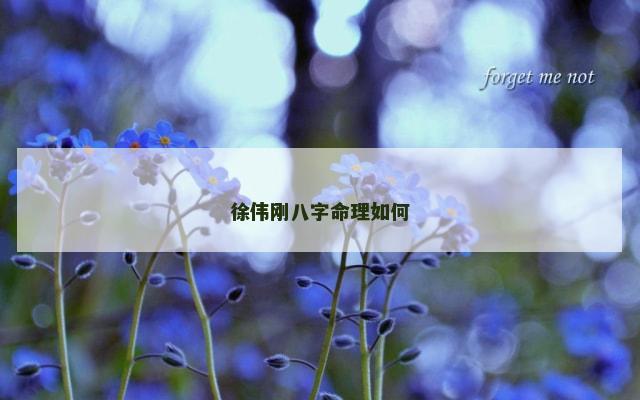 徐伟刚八字命理如何