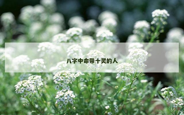 八字中命带十灵的人