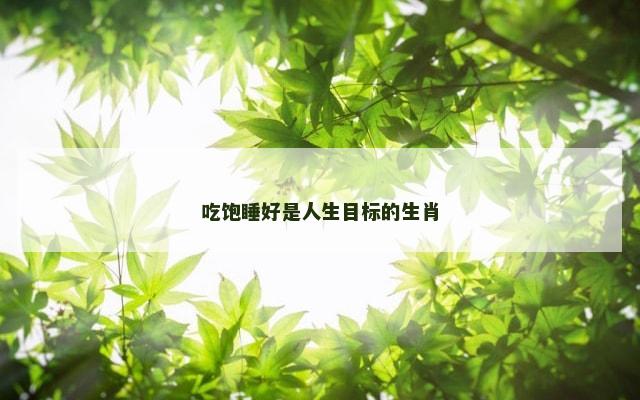 吃饱睡好是人生目标的生肖