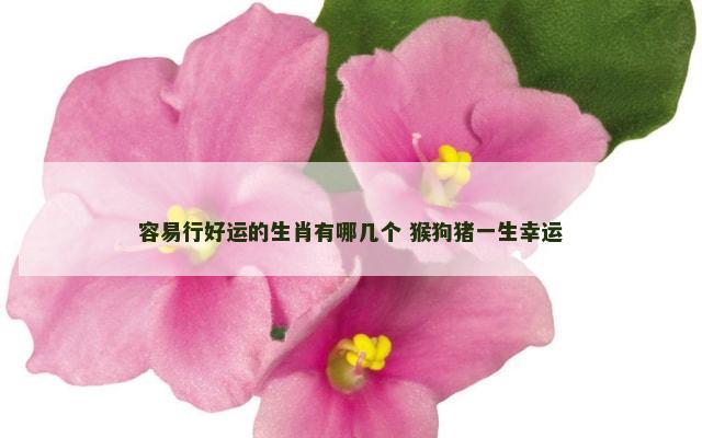容易行好运的生肖有哪几个 猴狗猪一生幸运
