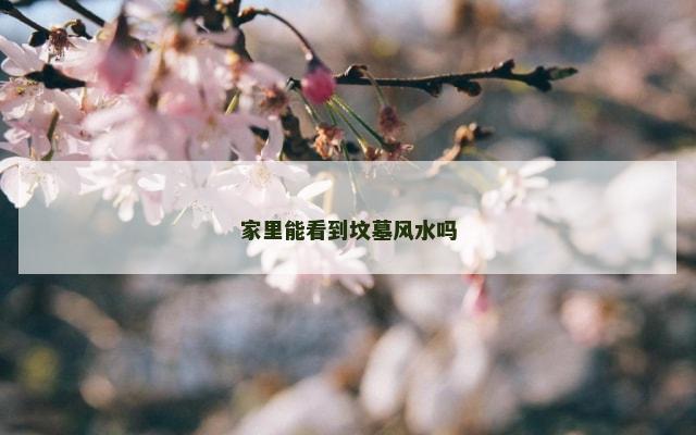 家里能看到坟墓风水吗