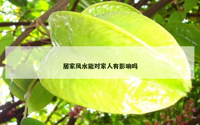 居家风水能对家人有影响吗