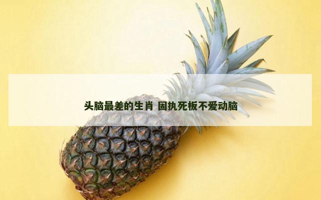 头脑最差的生肖 固执死板不爱动脑