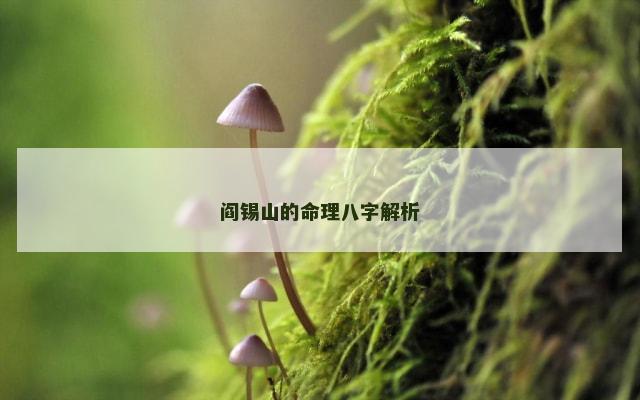 阎锡山的命理八字解析