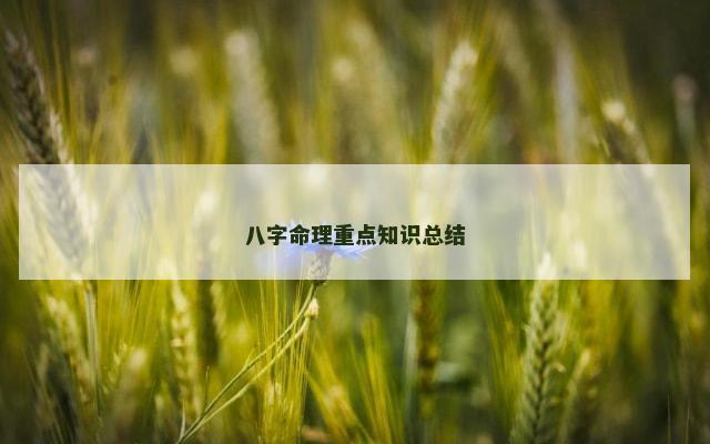 八字命理重点知识总结