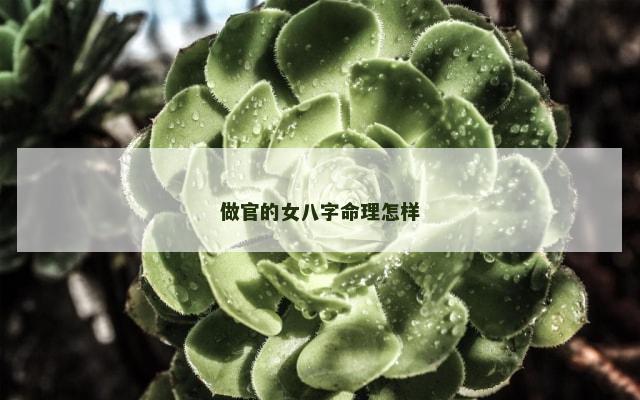 做官的女八字命理怎样