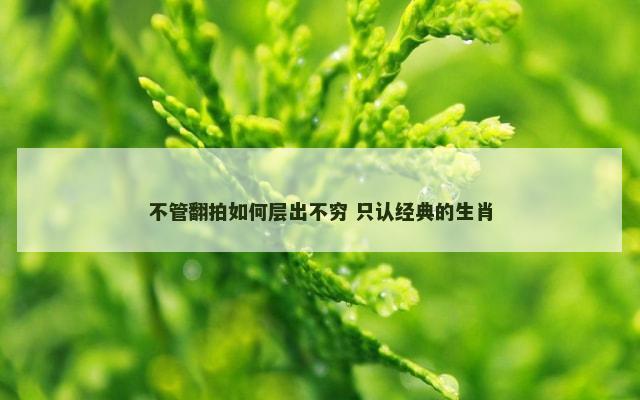 不管翻拍如何层出不穷 只认经典的生肖