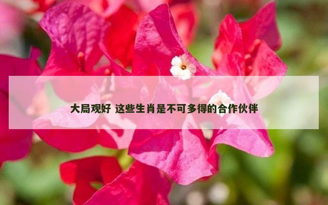 大局观好 这些生肖是不可多得的合作伙伴