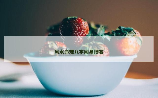 风水命理八字网易博客