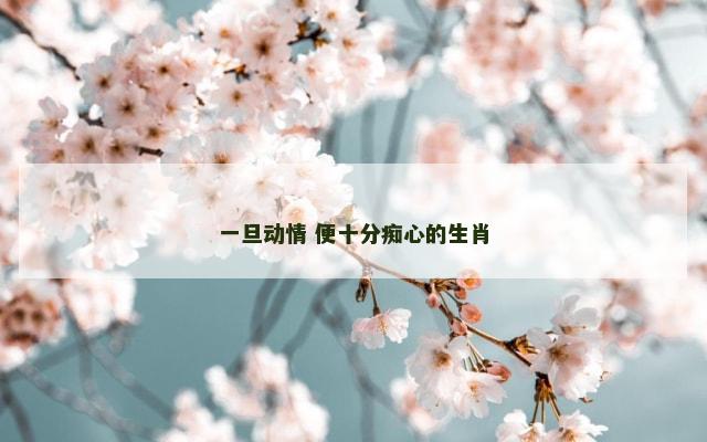一旦动情 便十分痴心的生肖