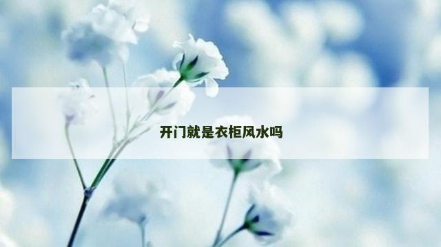 开门就是衣柜风水吗