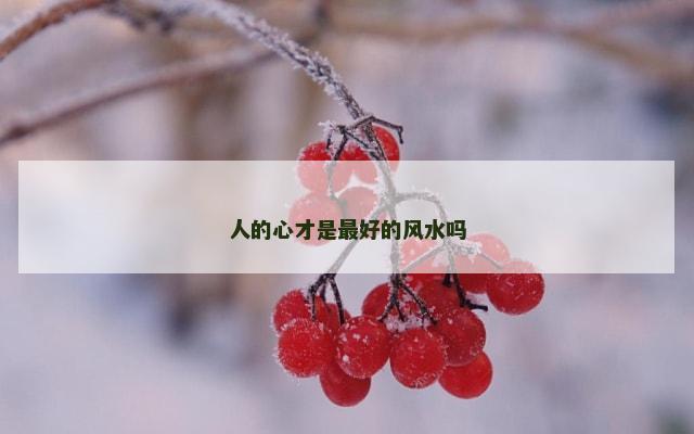 人的心才是最好的风水吗