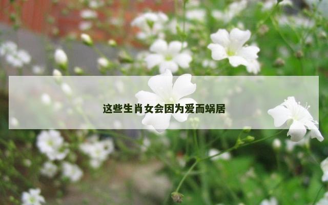 这些生肖女会因为爱而蜗居