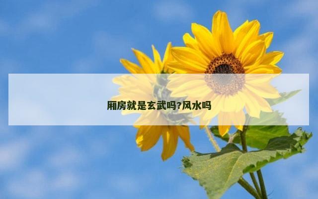厢房就是玄武吗?风水吗