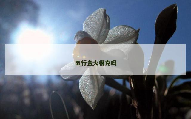五行金火相克吗