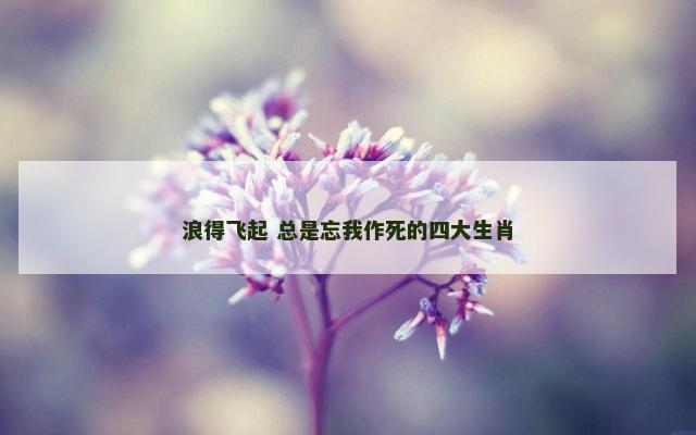 浪得飞起 总是忘我作死的四大生肖