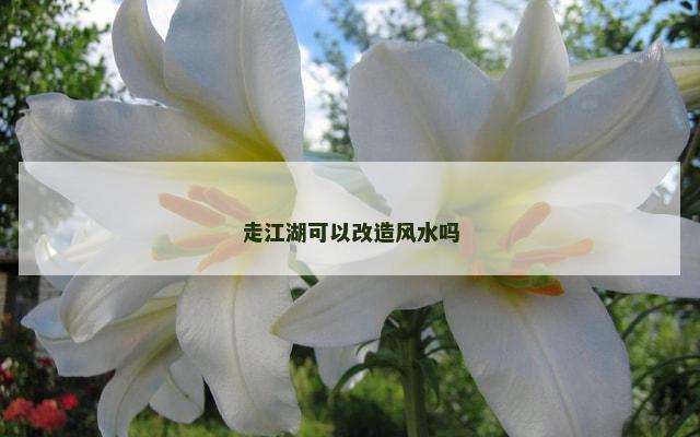 走江湖可以改造风水吗