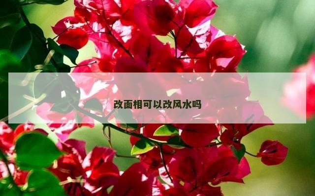 改面相可以改风水吗