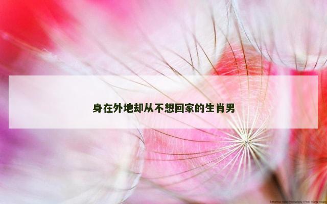 身在外地却从不想回家的生肖男