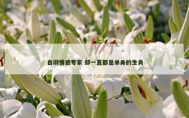 自诩情感专家 却一直都是单身的生肖