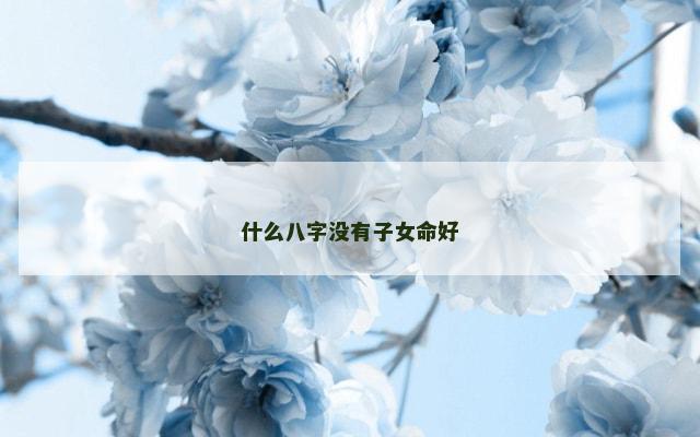 什么八字没有子女命好