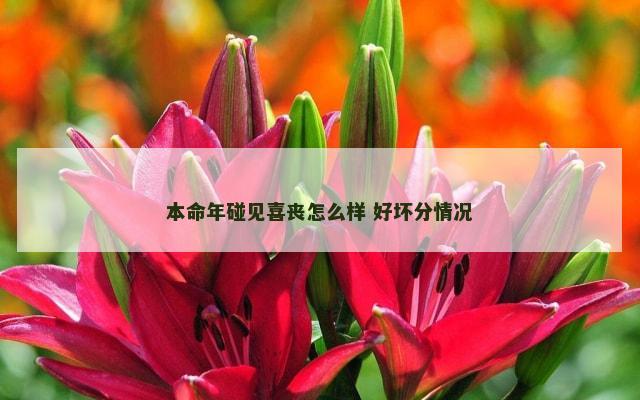 本命年碰见喜丧怎么样 好坏分情况