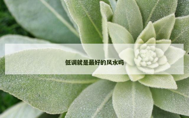 低调就是最好的风水吗