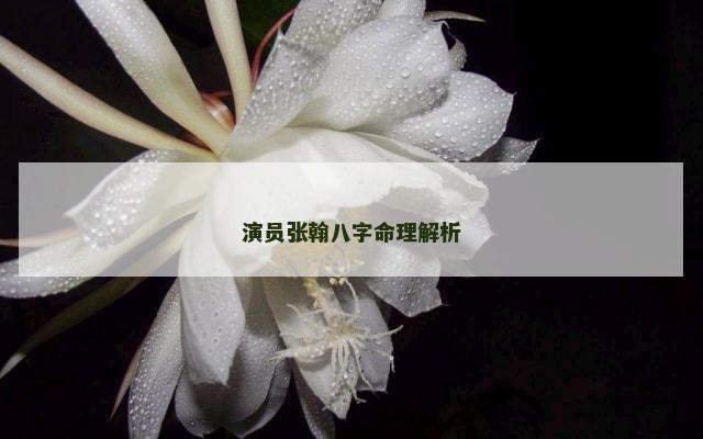 演员张翰八字命理解析