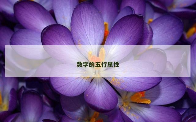 数字的五行属性
