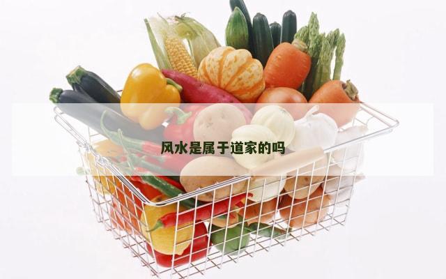 风水是属于道家的吗