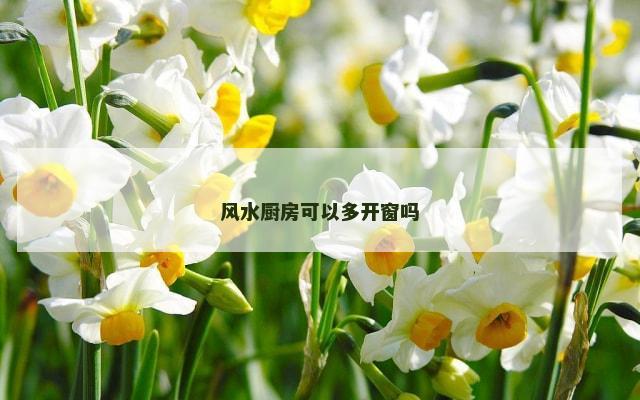 风水厨房可以多开窗吗