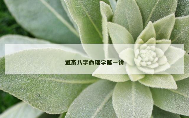 道家八字命理学第一讲