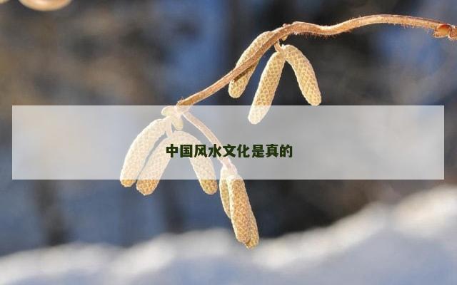 中国风水文化是真的