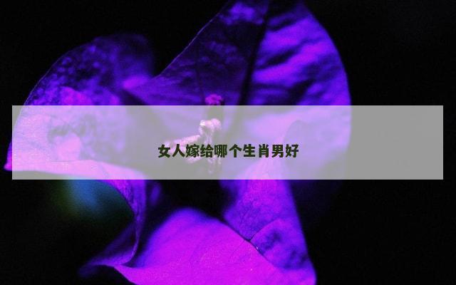 女人嫁给哪个生肖男好