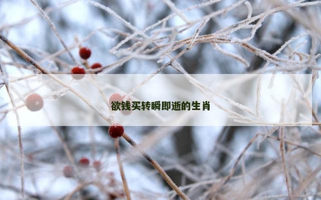 欲钱买转瞬即逝的生肖