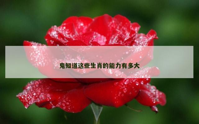鬼知道这些生肖的能力有多大