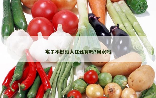 宅子不好没人住还算吗?风水吗