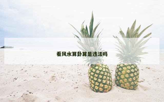 看风水算卦算是违法吗