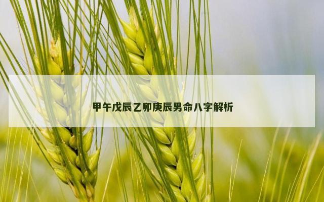 甲午戊辰乙卯庚辰男命八字解析
