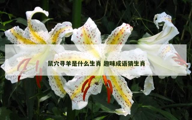 鼠穴寻羊是什么生肖 趣味成语猜生肖