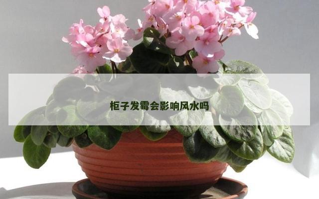 柜子发霉会影响风水吗
