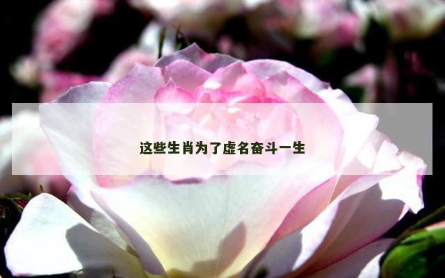 这些生肖为了虚名奋斗一生
