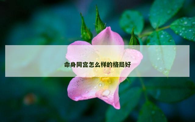 命身同宫怎么样的格局好