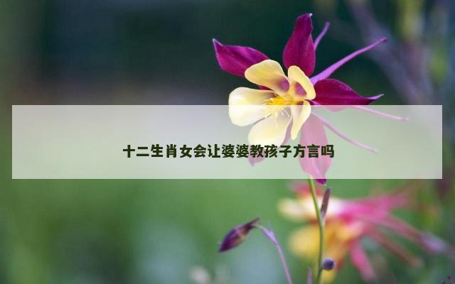 十二生肖女会让婆婆教孩子方言吗