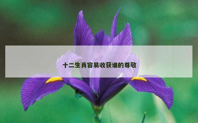 十二生肖容易收获谁的尊敬