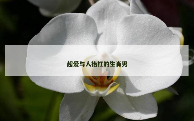 超爱与人抬杠的生肖男